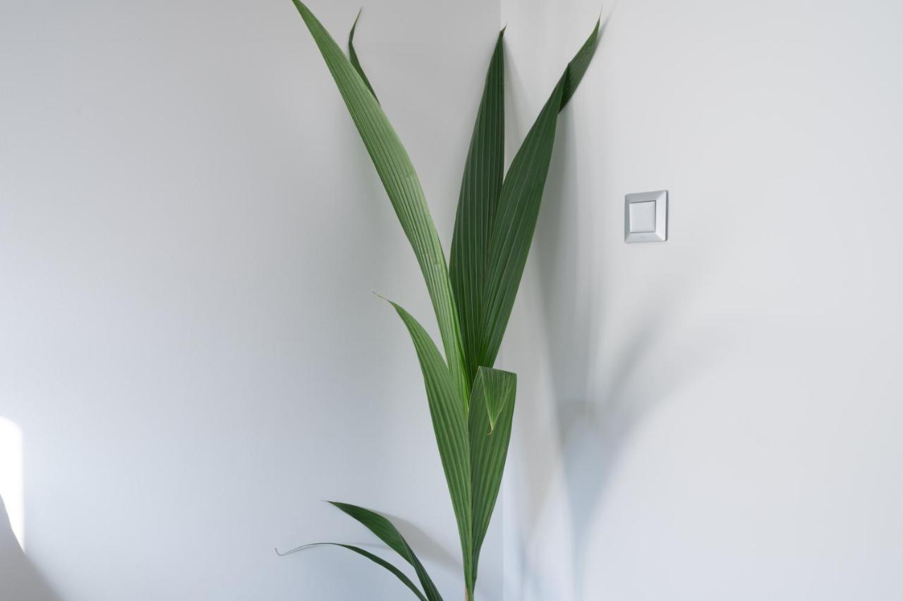 Eleven - Cozy With Garden Atenas